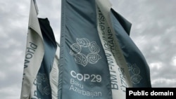 COP29-un bayraqları