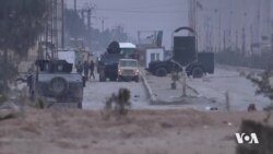 Rêveberiya Xweser Ya Bakur û Rojhilatê Sûriyê Bang Li Welatan Dike û Ku Daişiyên Xwe Bibin 