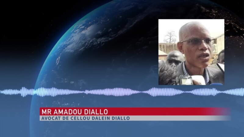 Affaire Cellou Dalein Diallo: aucun conflit d'intérêt, selon son avocat