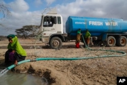 In this file photo, rangers from the Sabuli Wildlife Conservancy supply water from a tanker for wild animals in the conservancy in Wajir County, Kenya, Oct. 26, 2021. (AP Photo/Brian Inganga, File)