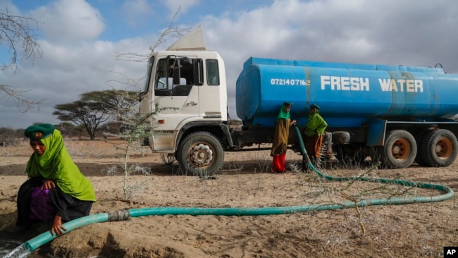 In this file photo, rangers from the Sabuli Wildlife Conservancy supply water from a tanker for wild animals in the conservancy in Wajir County, Kenya, Oct. 26, 2021. (AP Photo/Brian Inganga, File)