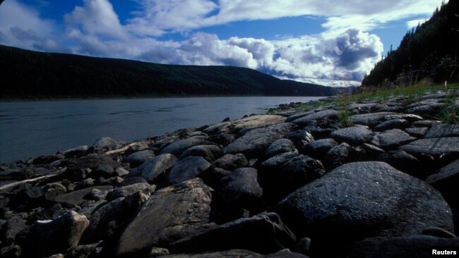 The Yukon River is seen in Alaska in this undated handout photo courtesy of the U.S. Fish and Wildlife Service. (REUTERS/U.S. Fish and Wildlife Service/Handout via Reuters)