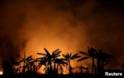 지구온난화 영향으로 브라질 아마존 밀림이 불타고 있다. (자료 사진)