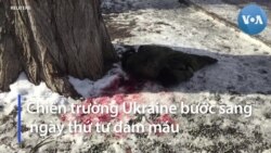 Chiến trường Ukraine bước sang ngày thứ tư đẫm máu