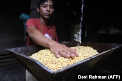 Seorang pekerja menunjukkan kedelai di pabrik tahu di Yogyakarta pada 21 Februari 2022. (Foto: AFP/Devi Rahman)