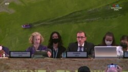 Նայրոբիում գտնվող ՄԱԿ-ի շրջակա միջավայրի ասամբլեան որոշում է ընդունել