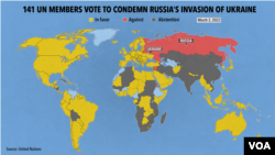 Of the UN's 193 member states, 181 voted; 141 countries supported the resolution condemning Russia and five were against it: Russia, Belarus, Syria, North Korea and Eritrea.