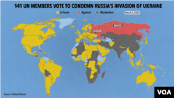 Of the UN's 193 member states, 181 voted. 141 countries supported the resolution condemning Russia and five were against it: Russia, Belarus, Syria, North Korea and Eritrea.