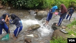 Siswa-siswi SMPN 1 Wonosalam yang tergabung dalam Polisi Air, mencari sampel serangga air di sungai Gogor, bagian hulu sungai Brantas (VOA/Petrus Riski)