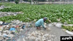 ঢাকার বুড়িগঙ্গা নদী থেকে প্লাস্টিক ব্যাগ পরিষ্কার করছেন একজন কর্মী। (ছবি- এএফপি) 
