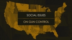 Candidates on the Issues: Gun Control