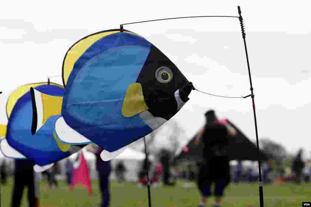 Với nghệ thuật chơi diều, sức gió và hướng gió là một trong những yếu tố quyết định. Những con diều thể thao được thiết kế để có thể bay trong nhiều điều kiện thời tiết. Vì vậy, những người tham gia biểu diễn đã trang trí cho lều của mình tại lễ hội bằng nhiều hình cá sặc sỡ, đồng thời cũng để xác định hướng gió.