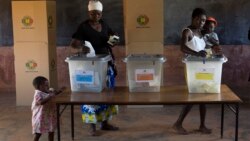 Ezemaphandleni: Sixoxa Labahlala eBulilima leNkankezi