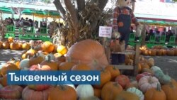 Тыквы на Хэллоуин