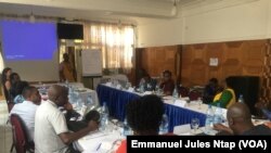 Les organisations de la société civile du bassin du Congo en séance de formation pour l’utilisation de l’application Timby, à Douala, le 1 mars 2022. (VOA/Emmanuel Jules Ntap)