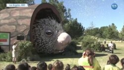 Dünyanın En Büyük Kuklası: "Kirpi Percy" 