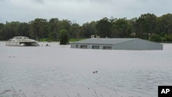 Sebuah rumah terendam banjir dekat Windsor di pinggiran Kota Sydney, Australia, Kamis, 3 Maret 2022. (Foto: Rick Rycroft/AP Photo)