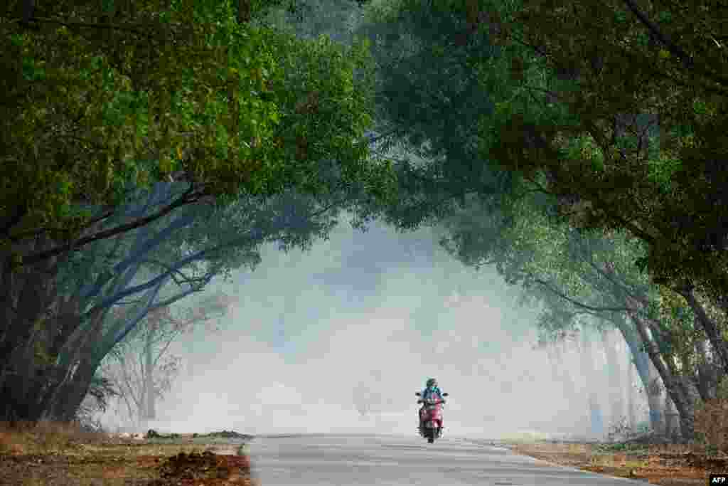 A motorist rides along a road past a thick plume of smoke from burning leaves on the outskirts of Bangalore, India.