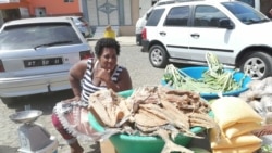 Cabo Verde: Académico defende incremento da produção interna
