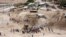 Palestinians gather around a bulldozer in Khan al-Ahmar, Wednesday, July 4, 2018. Israeli police scuffled with activists at a West Bank Bedouin community ahead of its planned demolition.