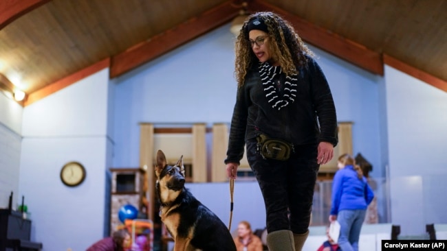 Volunteer puppy raiser Suzette Galyean works with 5-month-old German Shepard puppy Thunder during a Guiding Eyes for the Blind big puppy class at St. Matthew's United Methodist Church, in Bowie, Md., Monday, Feb. 14, 2022. (AP Photo/Carolyn Kaster