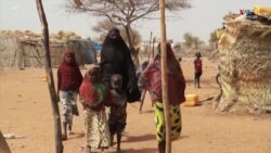 Տադրես ճամբարում, որը գտնվում է Նիգերի արևմտյան այսպես կոչված «երեք սահմանների» գոտում