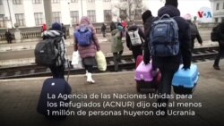 ¿Cuál es la situación humanitaria en Ucrania?