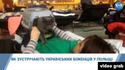 Як зустрічають українських біженців у Польщі.Відео