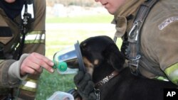 More and more US fire departments are making pet-specific oxygen kits part of their standard rescue equipment.