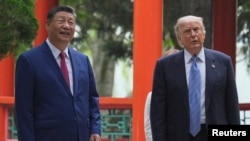 美国总统特朗普与中国国家主席习近平在北京中南海会面。(2026年5月15日)
