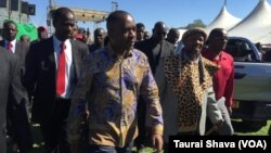 MDC Chamisa