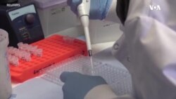 Yeni vaksin erkən sınaqlarda uğurlu nəticələr göstərib