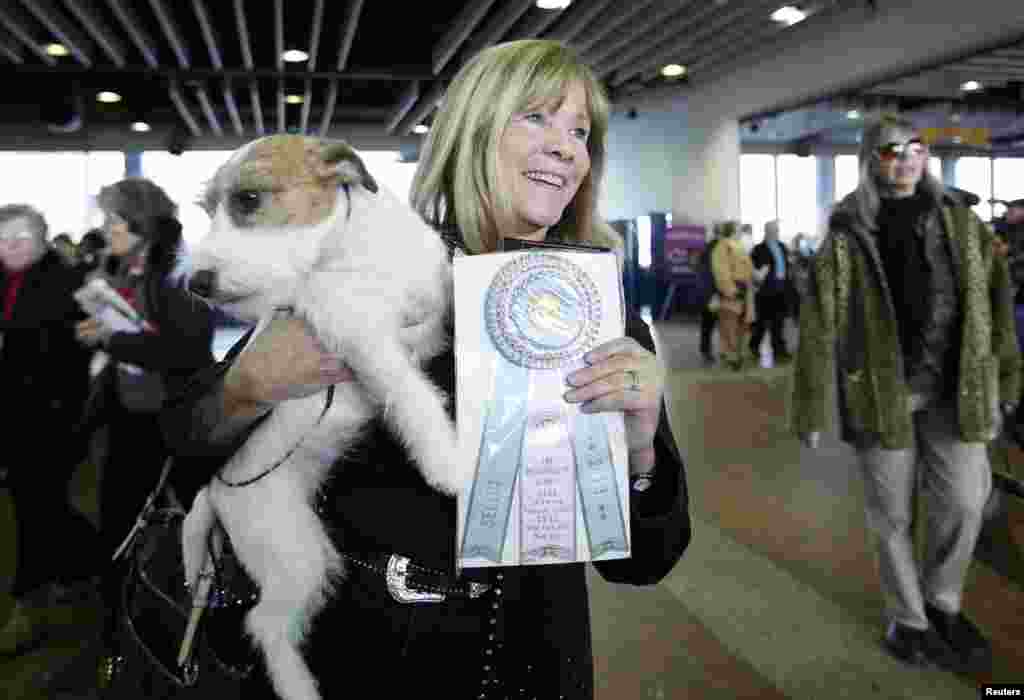 Sue Sobel menggendong Maddy, seekor terrier Russell yang menang untuk kategori anjing betina dalam lomba anjing Westminster Kennel Club ke-137 di Madison Square Garden, New York.