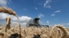 Panen gandum di ladang dekat desa Hrebeni, wilayah Kyiv, Ukraina, 17 Juli 2020. (REUTERS/Valentyn Ogirenko)