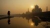 India’s Taj Mahal Has Insect Problem