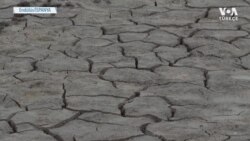 Dünya Mirası Listesindeki Sulak Alan Kurudu 