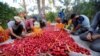 Petani Palestina memilah kurma yang baru dipanen, di Khan Younis, di Jalur Gaza selatan, 2 Oktober 2022. REUTERS/Ibraheem Abu Mustafa