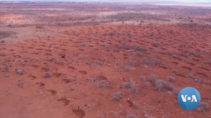 Dutch Group Helps Kenya's Maasai Restore Drought-hit Lands