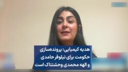 هدیه کیمیایی: پرونده‌سازی برای نیلوفر حامدی و الهه محمدی وحشتناک است