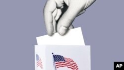 Mid-term elections in the United States