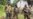 Congo and Rwanda Hold Talks to Resolve Conflict in Eastern Congo