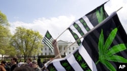 ARCHIVO - Manifestantes ondean banderas con hojas de marihuana durante una protesta para pedir la legalización de la marihuana, frente a la Casa Blanca el 2 de abril de 2016, en Washington.
