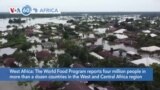 VOA60 Africa - Nearly one million hectares of farmland under water due to floods