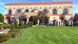 په امریکا کې مېشت افغانان د منځمهاله انتخاباتو نه څه توقعات لري؟