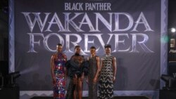 Wakanda Forever: un tributo a Chadwick Boseman