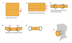 Making face mask from bandana or cloth. (Courtesy the CDC)