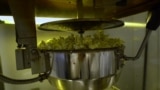 Popcorn Production