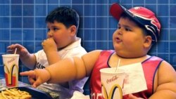 Quiz - Obesity and Brain Development: Is There a Link?