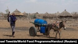 A woman uses a donkey cart to transport a barrel of water in drought affected areas in Higlo Kebele, Adadle woreda, Somali region of Ethiopia, in this undated handout photograph.