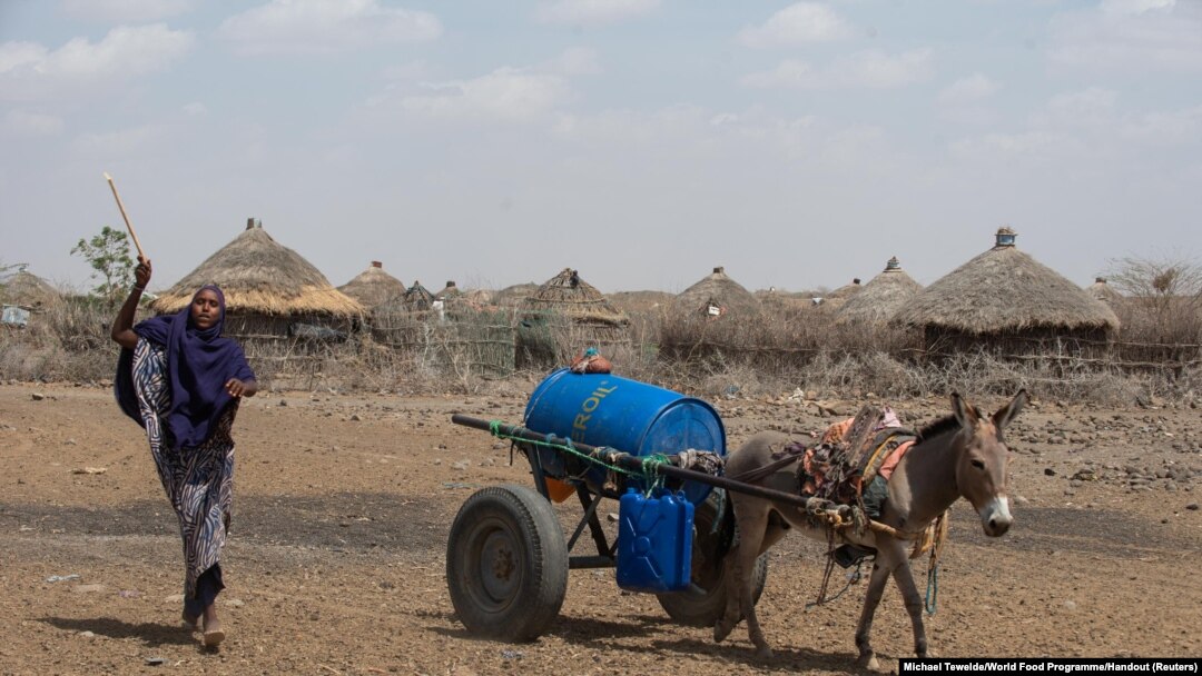 FILE - A woman uses a donkey cart to transport a barrel of water in drought affected areas in Higlo Kebele, Adadle woreda, Somali region of Ethiopia, in this undated handout photograph.